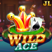 Wild Ace - mumu player lite app